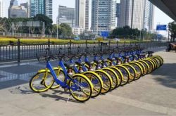 （7分钟科普）遂宁市工厂最新招聘信息_哔哩哔哩-3